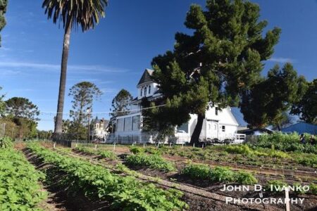 Military Service to Farmer: Four Skills US Veterans Bring to the Field Image